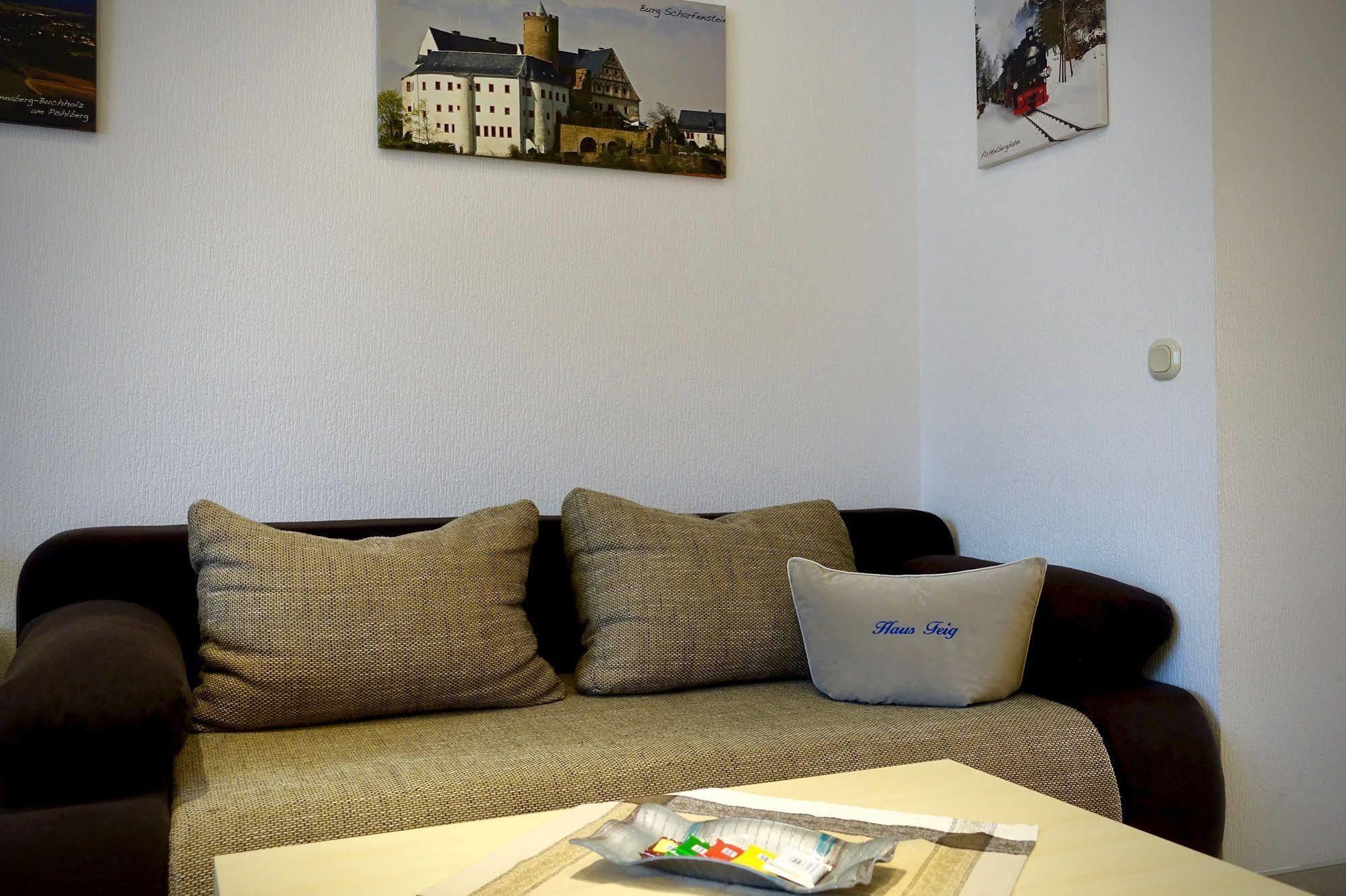 Ferienwohnung Haus Feig Geyer Екстериор снимка