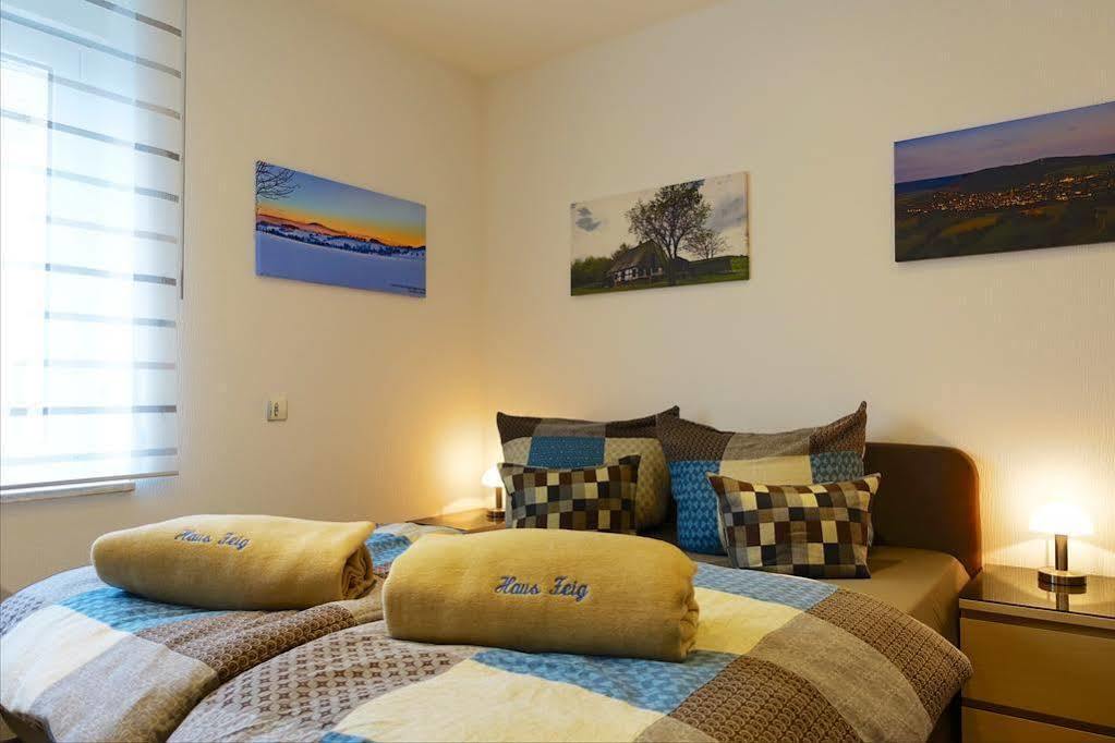 Ferienwohnung Haus Feig Geyer Екстериор снимка