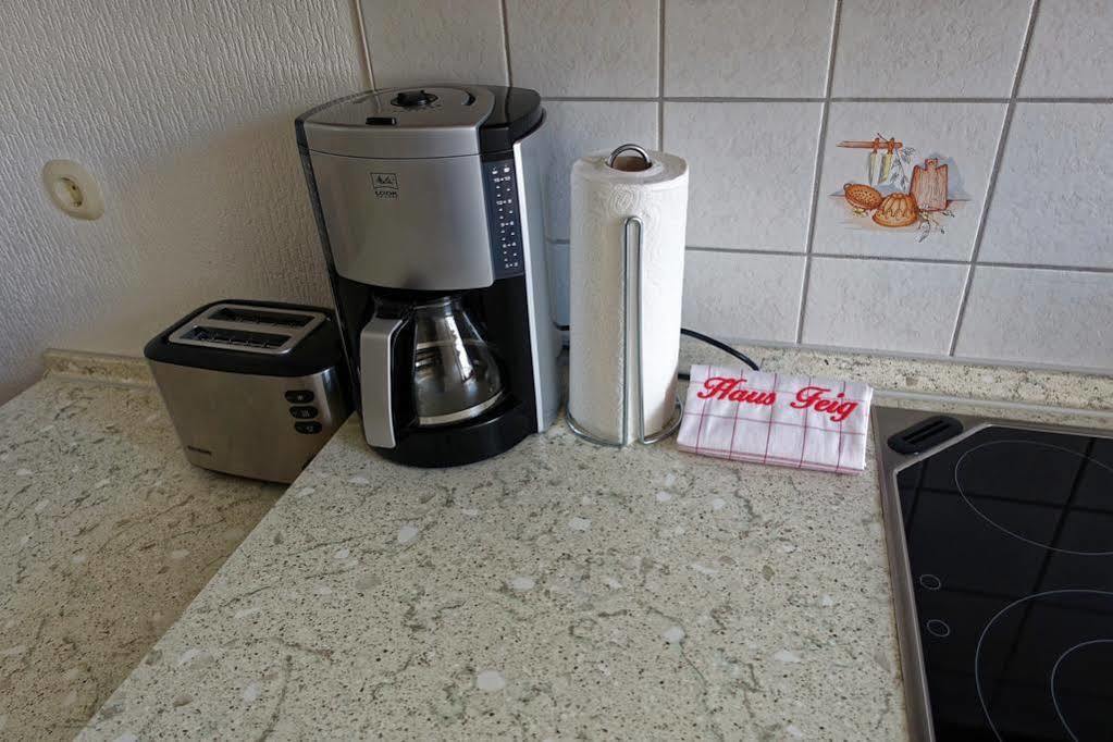 Ferienwohnung Haus Feig Geyer Екстериор снимка